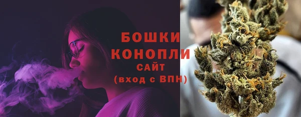 ECSTASY Богородск